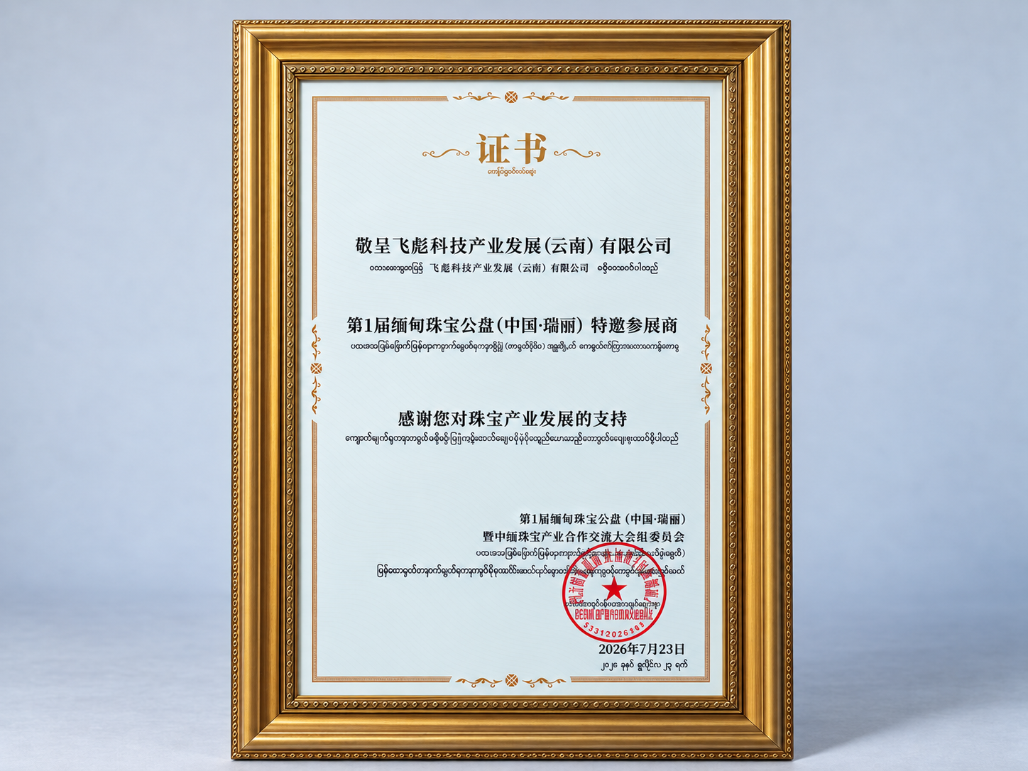飞彪科技产业发展（云南）有限公司：第1届缅甸珠宝公盘（中国·瑞丽）特邀参展商