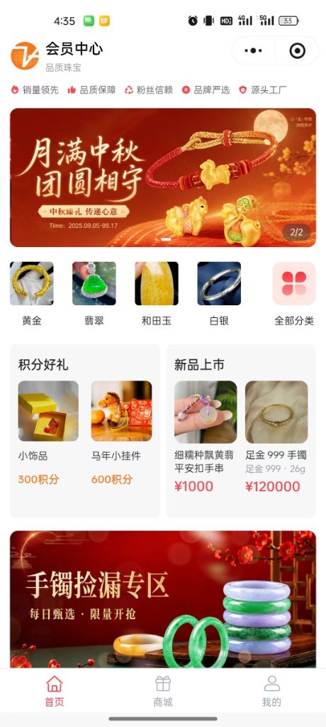 飞彪会员小程序品牌首页真实界面